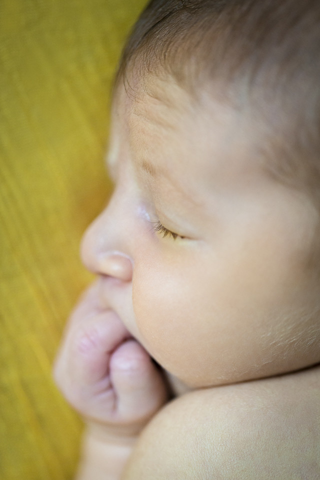 RC_190124_4529-Editar