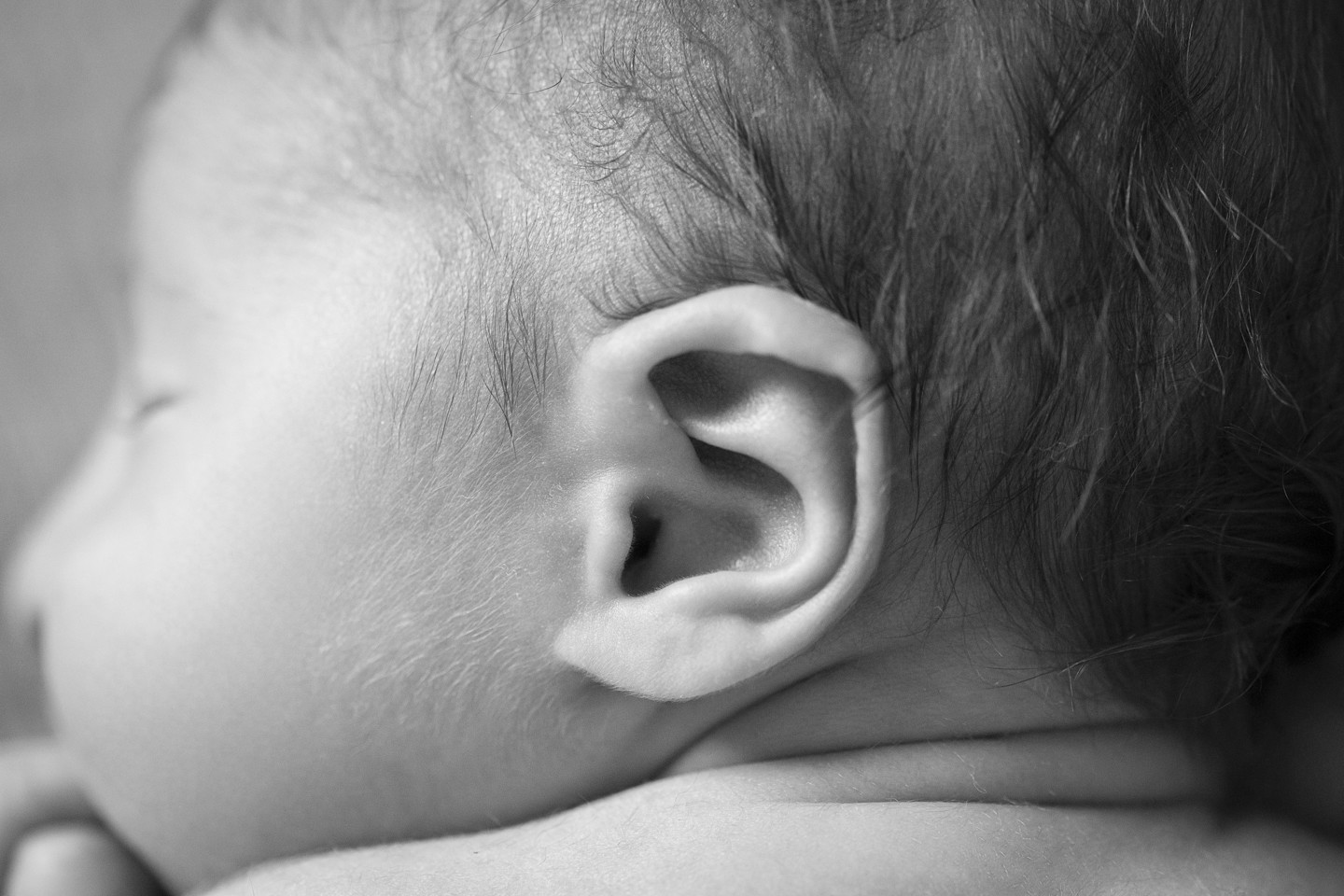 RC_190124_4533-Editar-2