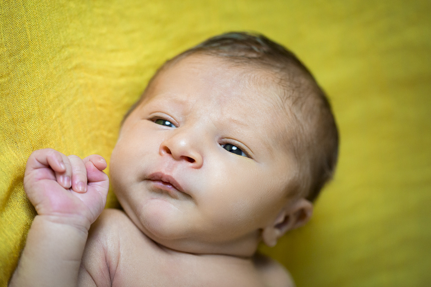 RC_190124_4563-Editar