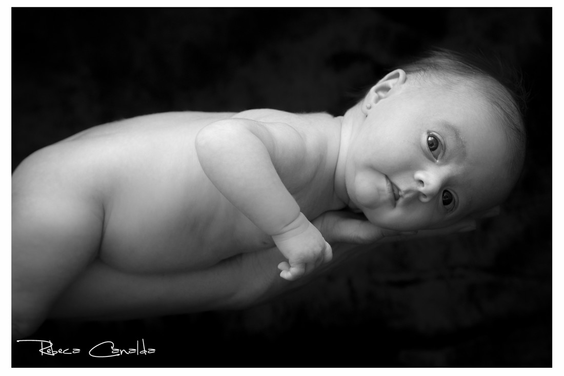 Reportaje Torres de la Alameda