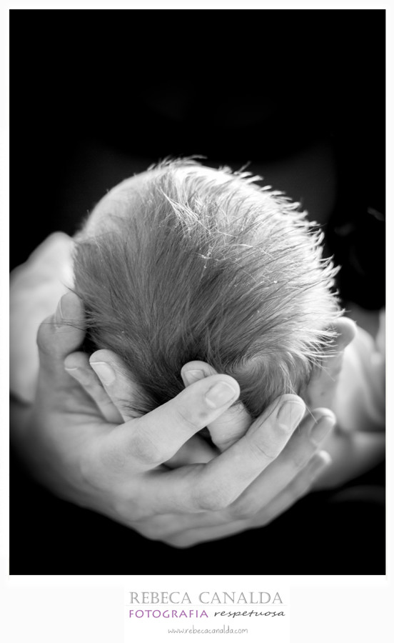 fotografia meco recien nacido